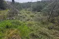 Atterrir 14 900 m² Opcina Bilice, Croatie