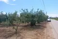 Grundstück 2 800 m² Nea Flogita, Griechenland