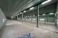 Manufacture 1 060 m² in Kirsy, Belarus