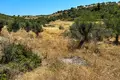 Atterrir 6 662 m² Nikiti, Grèce