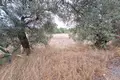 Земельные участки 1 комната  Ватос, Греция