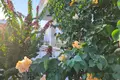 Apartment 66 m² Northern Cyprus, Northern Cyprus