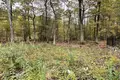 Parcelas 1 055 m² Varsovia, Polonia