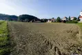 Atterrir 6 010 m² Nova vas, Slovénie