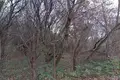 Grundstück 1 zimmer 3 200 m² Dziekanow Polski, Polen