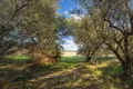 Parcelas 4 054 m² Nea Triglia, Grecia