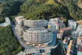 2 bedroom apartment 58 m² Boreti, Montenegro