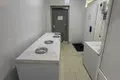 Zakład produkcyjny 412 m² Chołopienicze, Białoruś