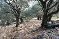 Land 1 room 6 500 m² Kariotiko, Greece