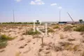 Land 431 m² Al Dhaid, United Arab Emirates