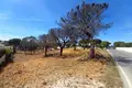 Atterrir 6 851 m² Loule, Portugal