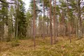Parcelas 8 600 m² Mersraga pagasts, Letonia