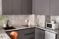 Wohnung 1 zimmer 62 m² Bashkia Puke, Albanien