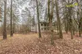 Commercial property 622 m² in Pleshchanitsy, Belarus