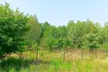 Grundstück 1 438 m² Pniewo, Polen