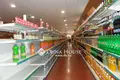 Gewerbefläche 2 300 m² Bekessamson, Ungarn