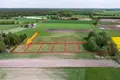 Квартира 600 м² Wiosna, Польша
