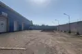 Nieruchomości komercyjne 1 pokój 600 m² w Nizino, Rosja