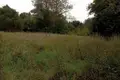 Grundstück 1 zimmer 3 000 m² Kielpiciener Kämpe, Polen
