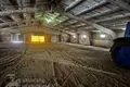 Warehouse 843 m² in Pleshchanitsy, Belarus