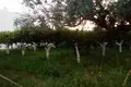 4 bedroom Villa  San Marco, Italy