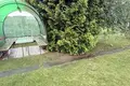 House 34 m² Dzitvianski sielski Saviet, Belarus