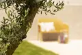 Villa 4 chambres 230 m² Grad Rovinj, Croatie