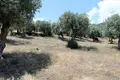 Земельные участки 1 комната 5 568 м² Aristotle Municipality, Греция
