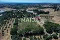 Земельные участки  Torres Novas, Португалия