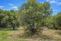 Parcelas 9 063 m² Kassandrino, Grecia