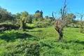 Land 1 room  Municipality of Northern Corfu, Greece