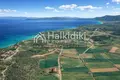 Parcelas 10 400 m² Nea Roda, Grecia