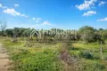 Parcelas 4 054 m² Agios Mamas, Grecia