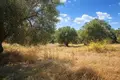 Parcelas 15 000 m² Kassandrino, Grecia