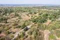 Land 1 room 3 902 m² Otwock, Poland