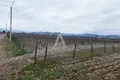 Dom  Podgorica, Czarnogóra