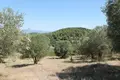 Atterrir 1 chambre  Paliouri, Grèce