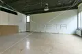 Propriété commerciale 277 m² à Grad Karlovac, Croatie