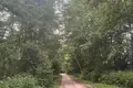 Parcelas  Januskavicki sielski Saviet, Belarús