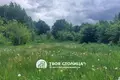 House 30 m² Haranski sielski Saviet, Belarus