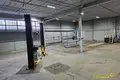 Nieruchomości komercyjne 3 pokoi 222 m² w Mińsk, Białoruś