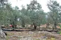 Land 1 room 7 500 m² Perithia, Greece