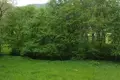 Land  Kolasin, Montenegro