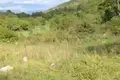 Дом 1 спальня 45 м² Община Никшич, Черногория