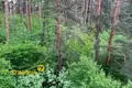 1 room apartment 33 m² Minsk, Belarus