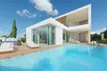 5 bedroom house 495 m² Chloraka, Cyprus