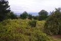 6 bedroom villa 6 000 m² Tosya, Turkey