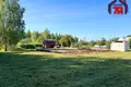 Grundstück  Krasnadvorski sielski Saviet, Belarus