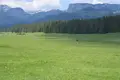 Grundstück  Zabljak, Montenegro