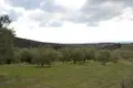 Земельные участки 1 комната  Полигирос, Греция
